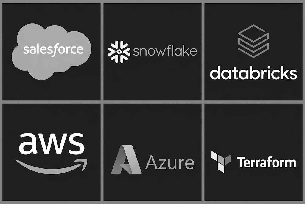 Salesforce, Snowflake, Databricks, AWS, Microsoft Azure, and Terraform logos arranged in a grid